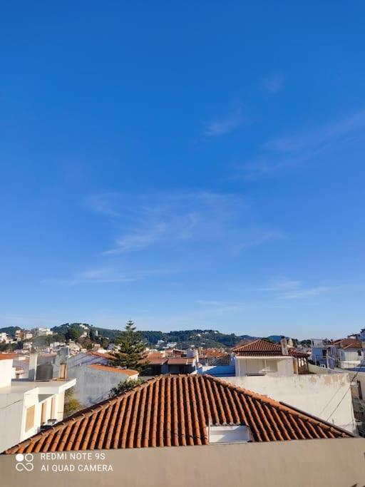 Bozikis House! A Cosy Apartment In The City Centre Skiathos-Stadt Exterior foto